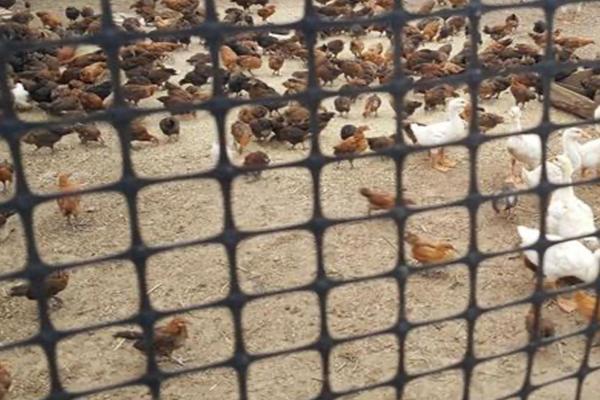 養殖土工格柵：解析使用方法與優勢  第1張