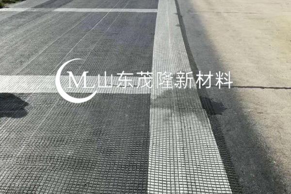《怡心湖 C 區片區綜合開發項目二期工程》土工格柵施工